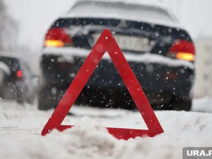 Непогода привела к транспортному коллапсу в Петербурге: отмена авиарейсов и застрявшие в снегу автобусы