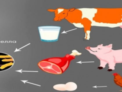 Новые достижения в области науки и технологии
