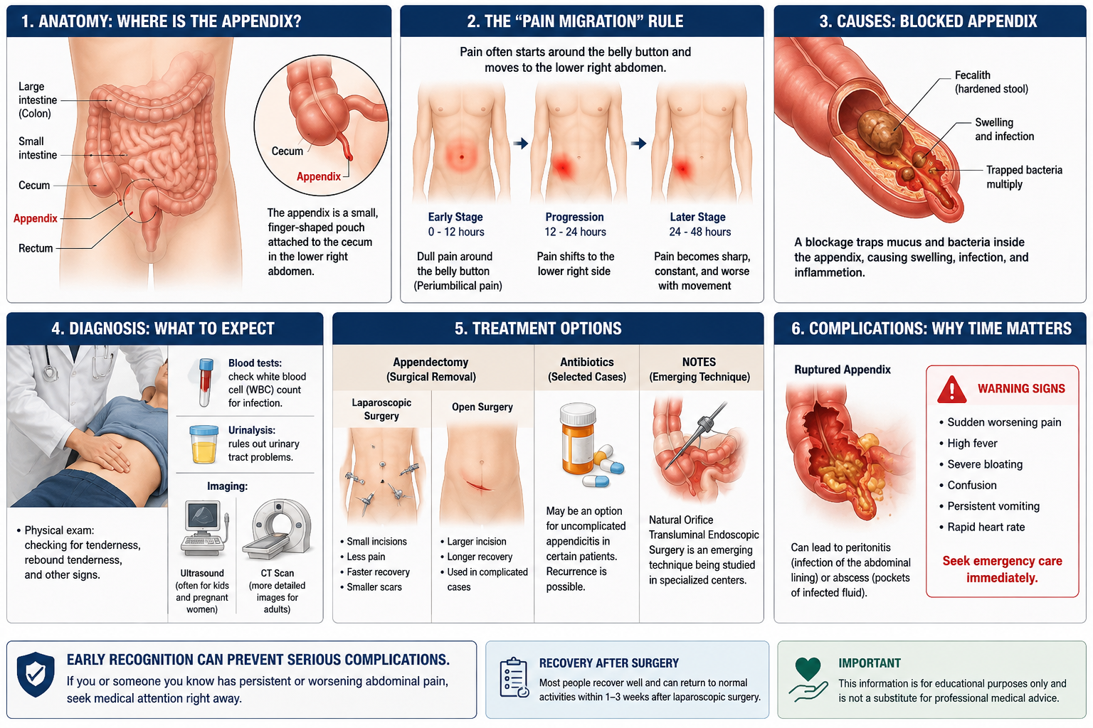 Appendicitis Symptoms and Emergency Warning Signs