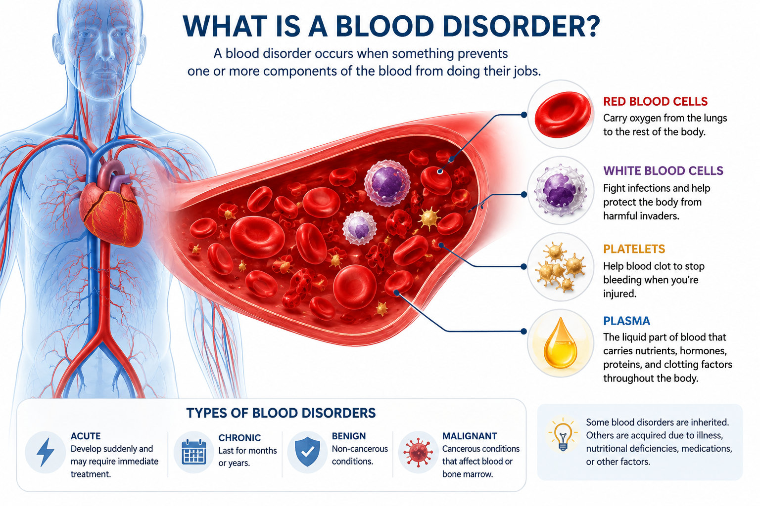 Blood Disorders: Types, Symptoms, Causes, and Navigating Your Diagnosis