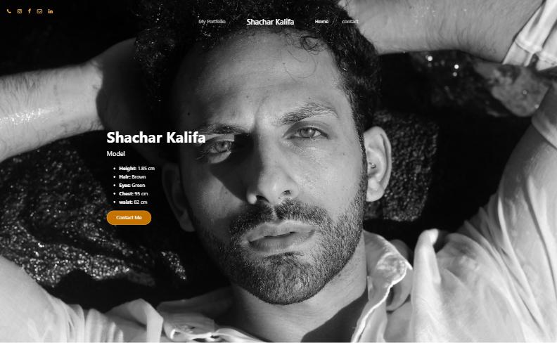 shachar kalifa - Portfoilio