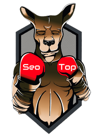 seo-top-logo