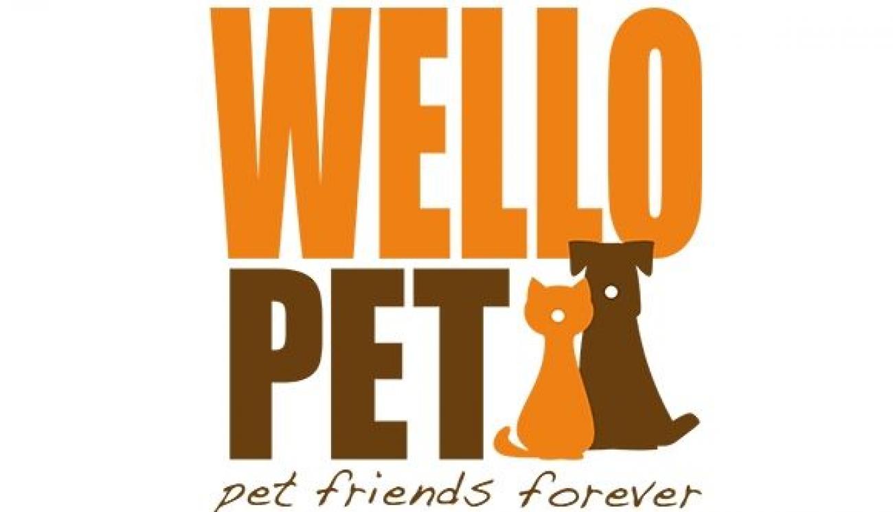 Logo 9