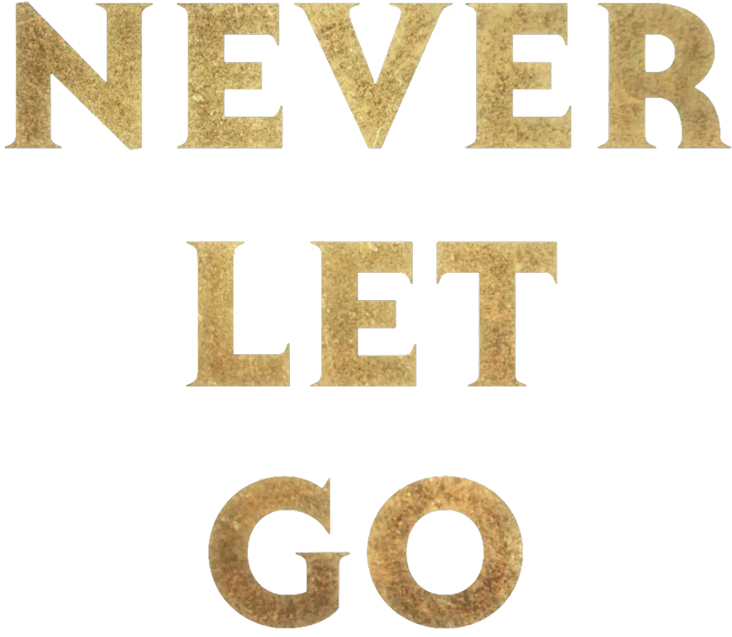 Never Let Go