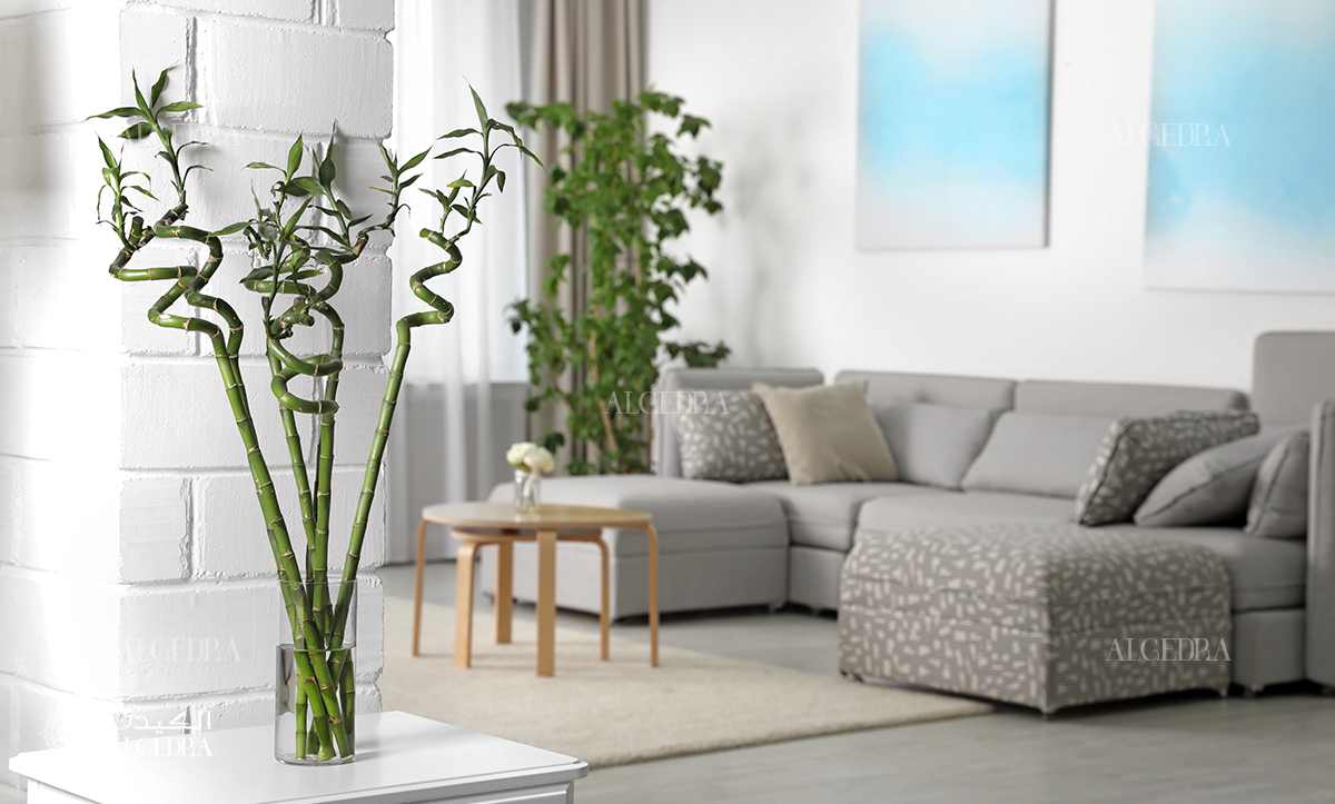 interior design company in Istanbul