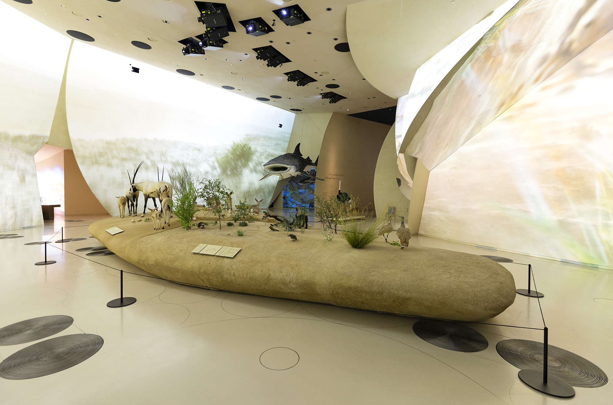 Tourism Photography in Qatar