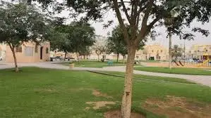 حي شبرا