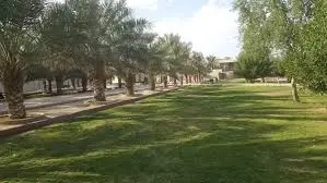 حي الروابي
