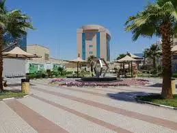 حي عليشة