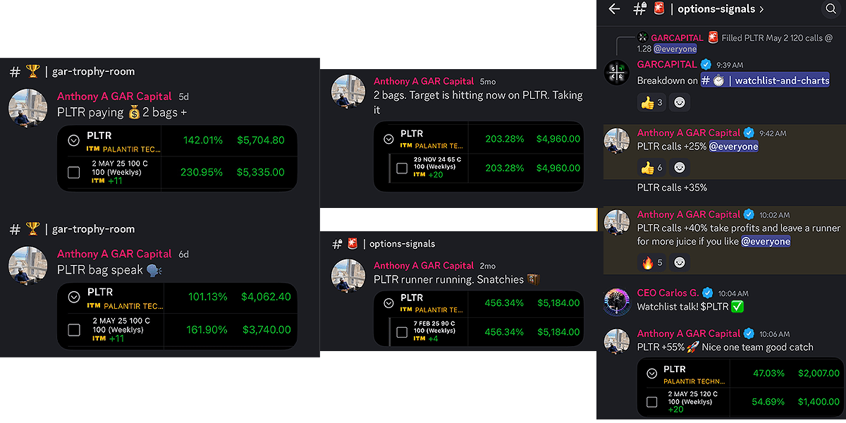 pltr_gains.png