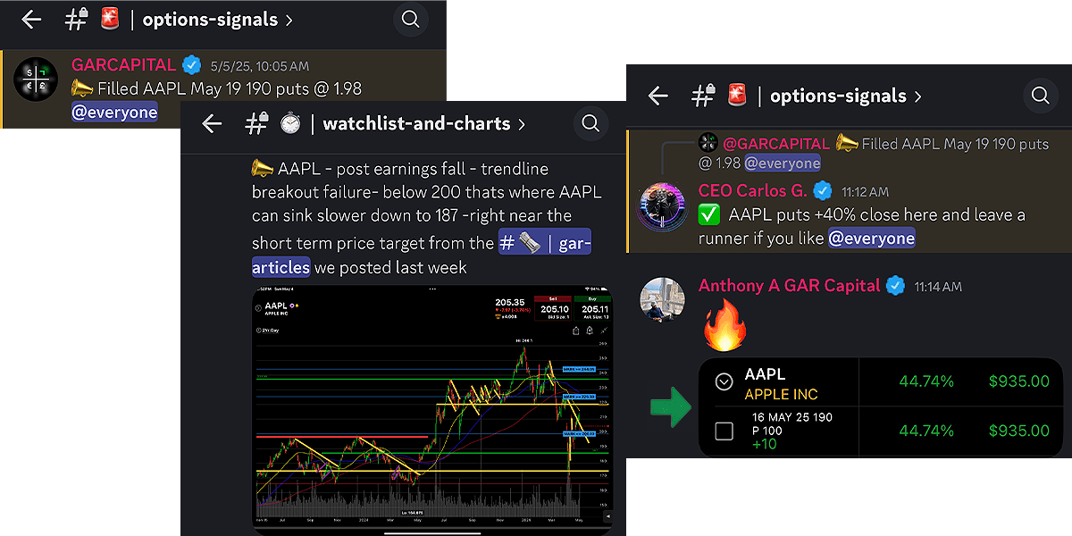 aapl profits.png