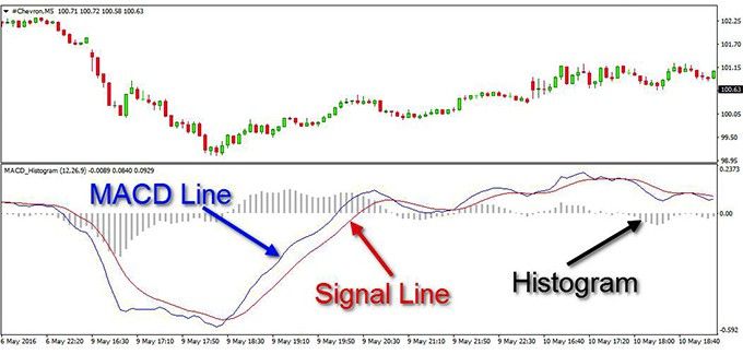 Oscillators & Momentum Indicators: Reading Market Strength
