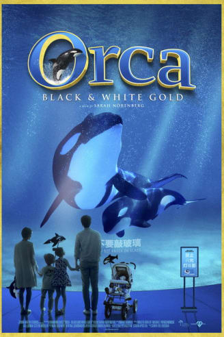 Orca: Black & White Gold production still