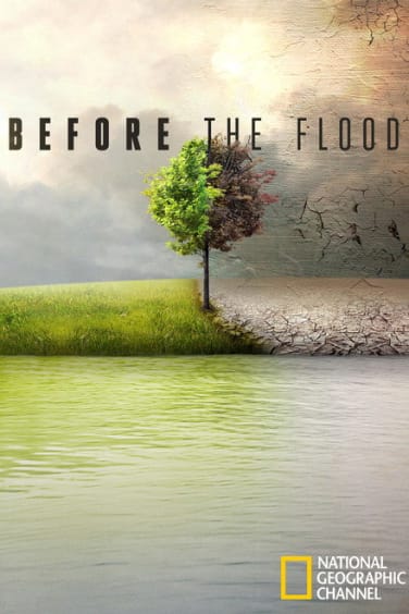 Before the Flood production still