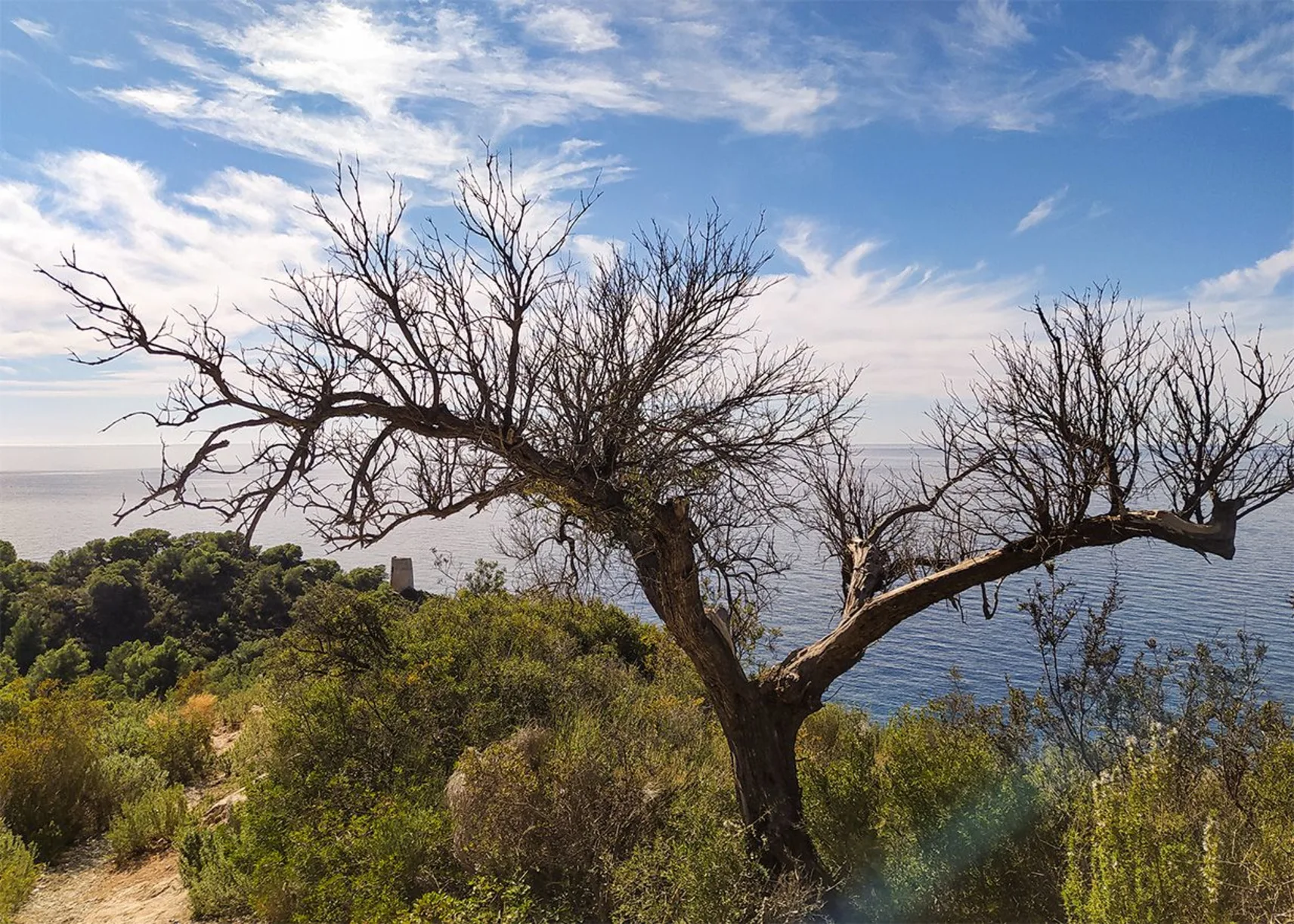 Acantilados de Maro Cerro Gordo