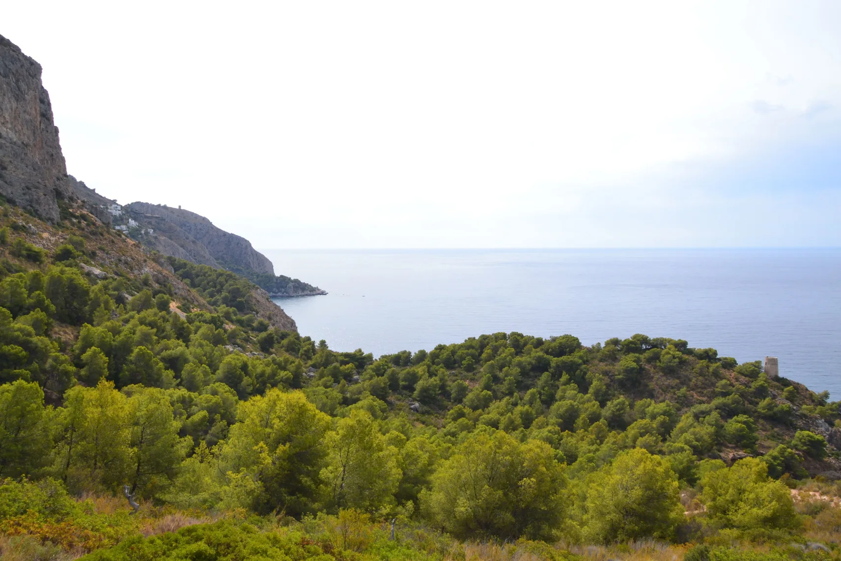 Acantilados de Maro Cerro Gordo