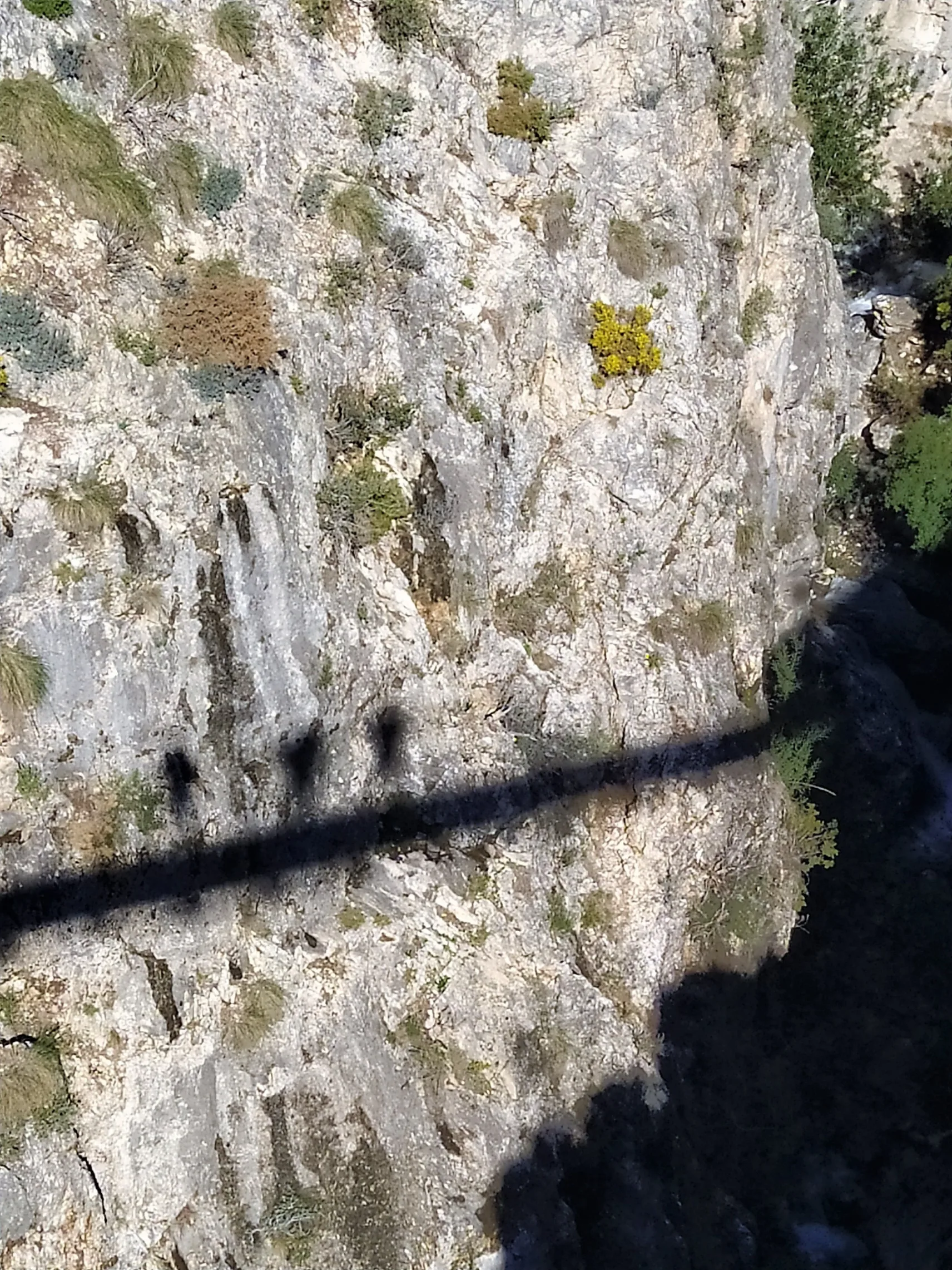 El Saltillo Canillas Axarquía