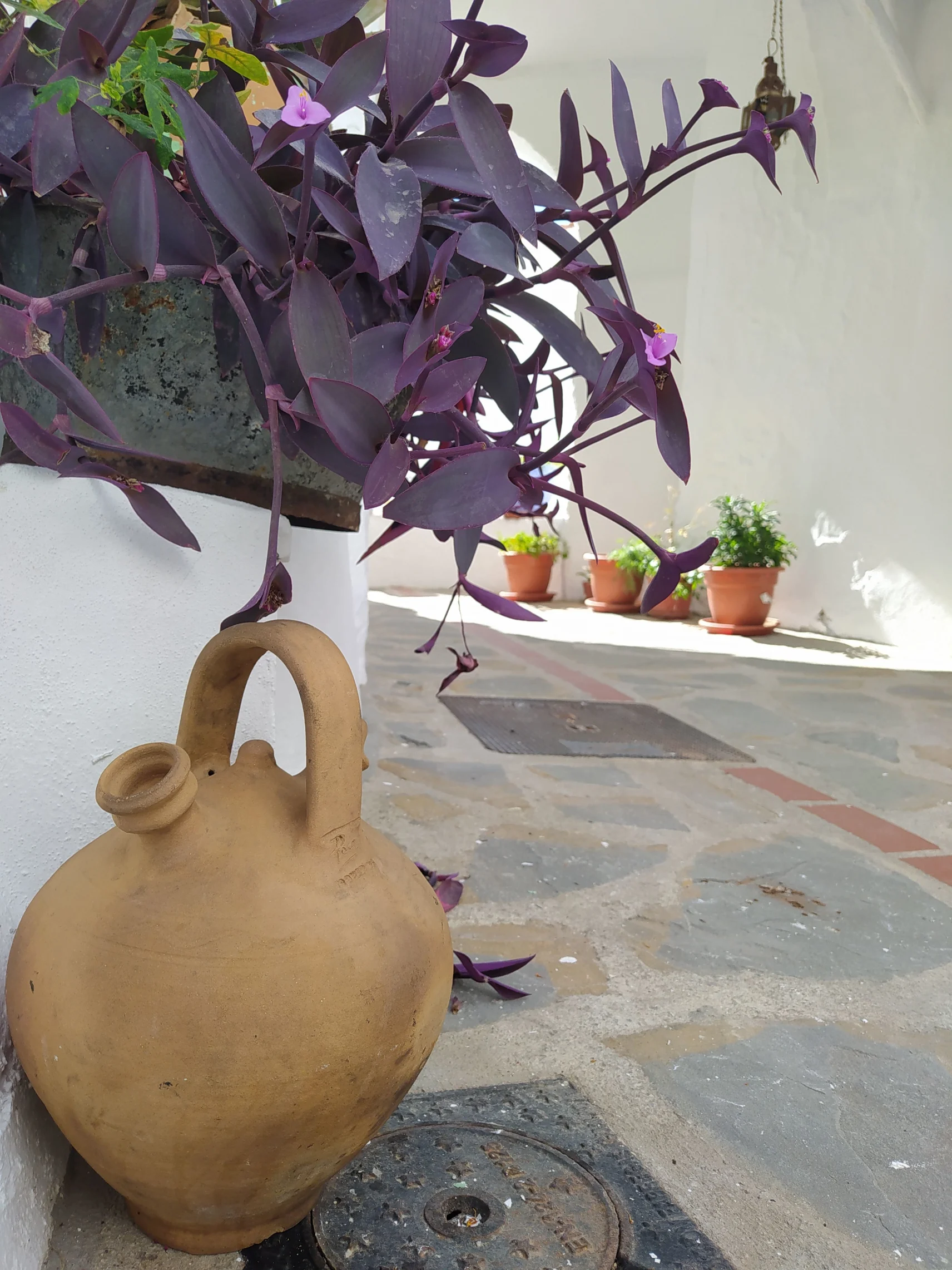 Salares Travel Factory Andalucia