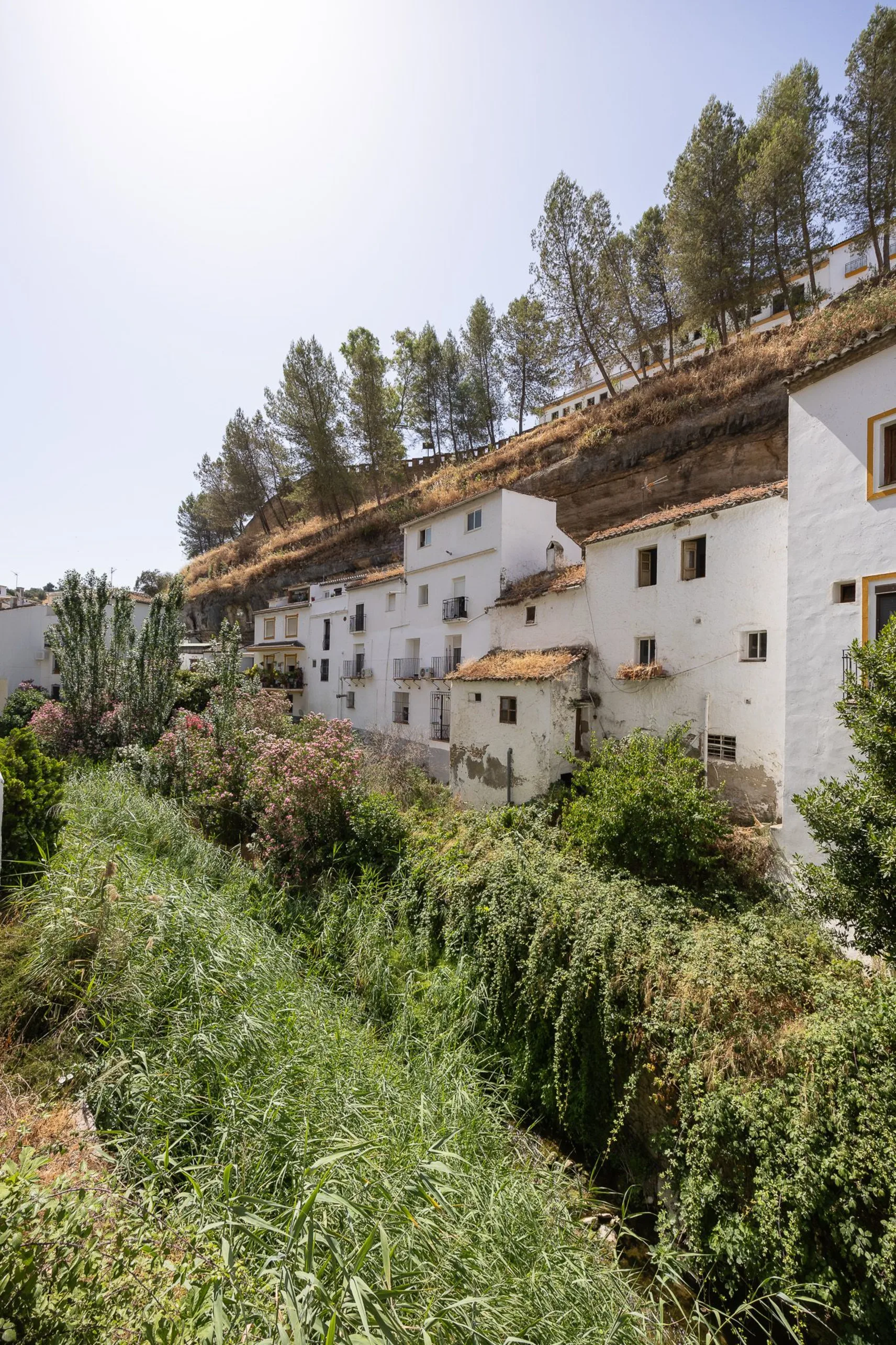 Land of Contrasts: Ronda & Setenil de las Bodegas