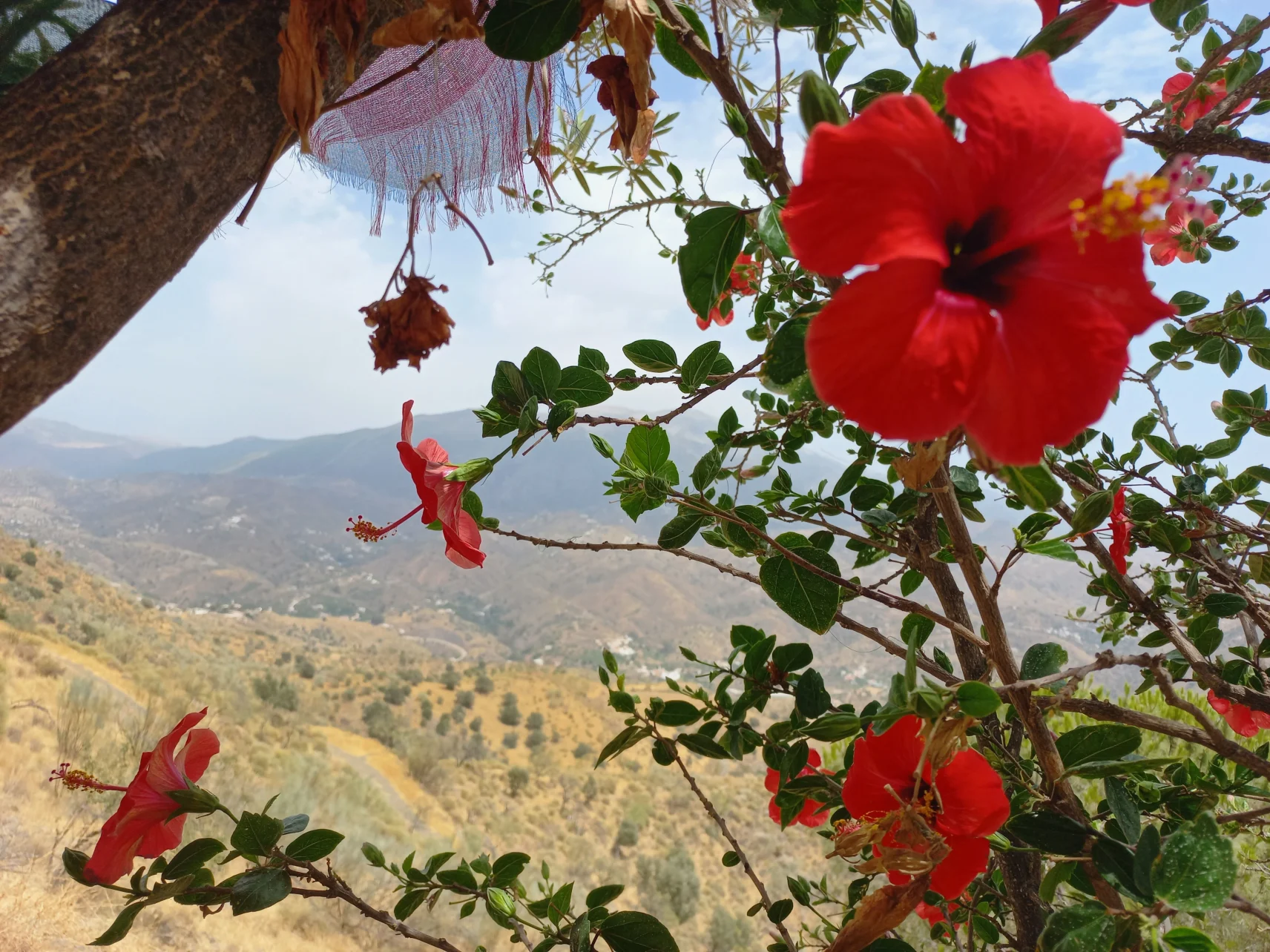 Unexpected sights in Andalusia: Béla Soltész's travel reports