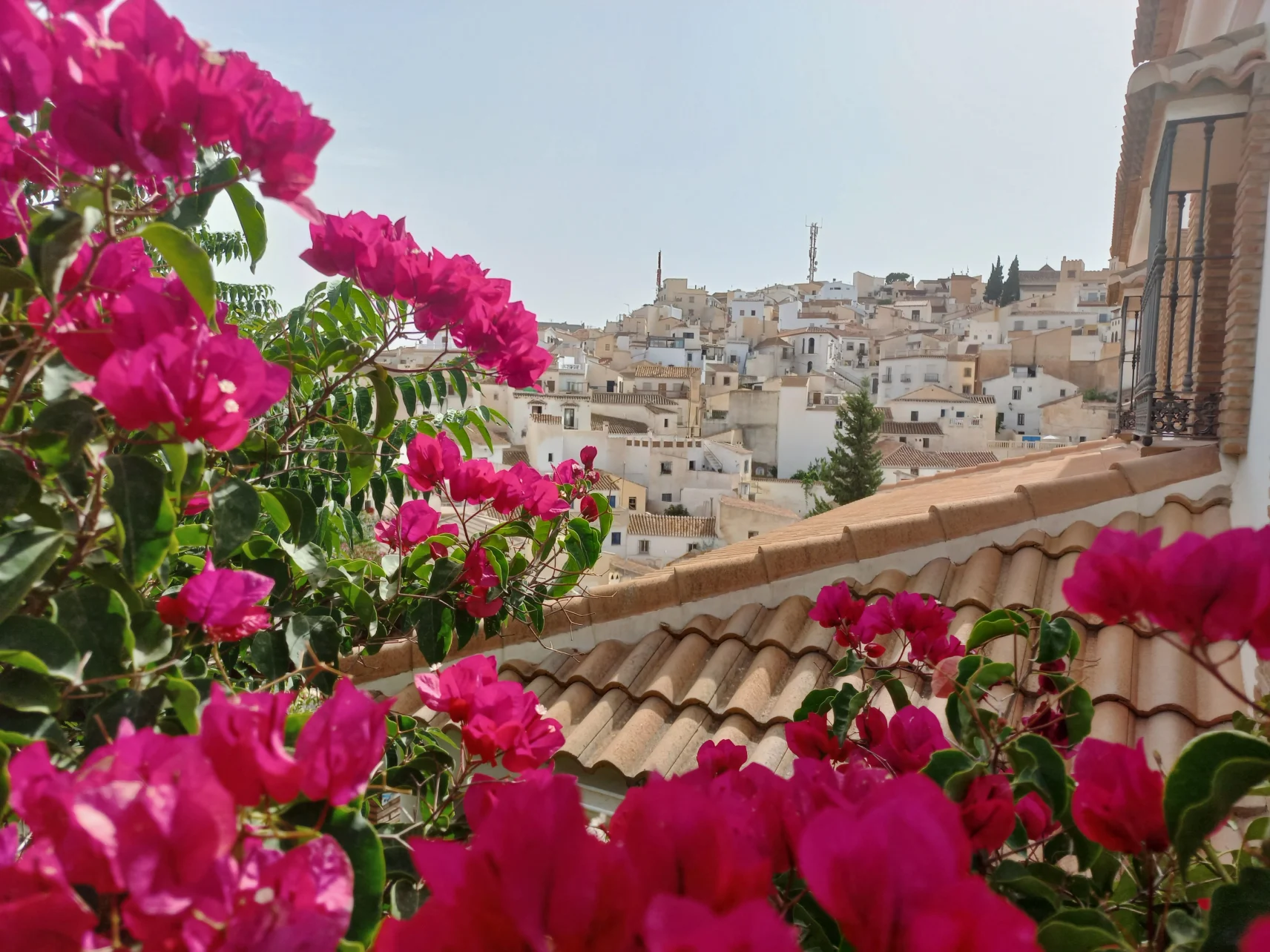 Unexpected sights in Andalusia: Béla Soltész's travel reports