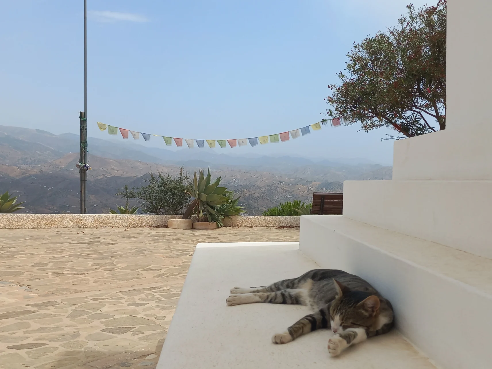 Unexpected sights in Andalusia: Béla Soltész's travel reports