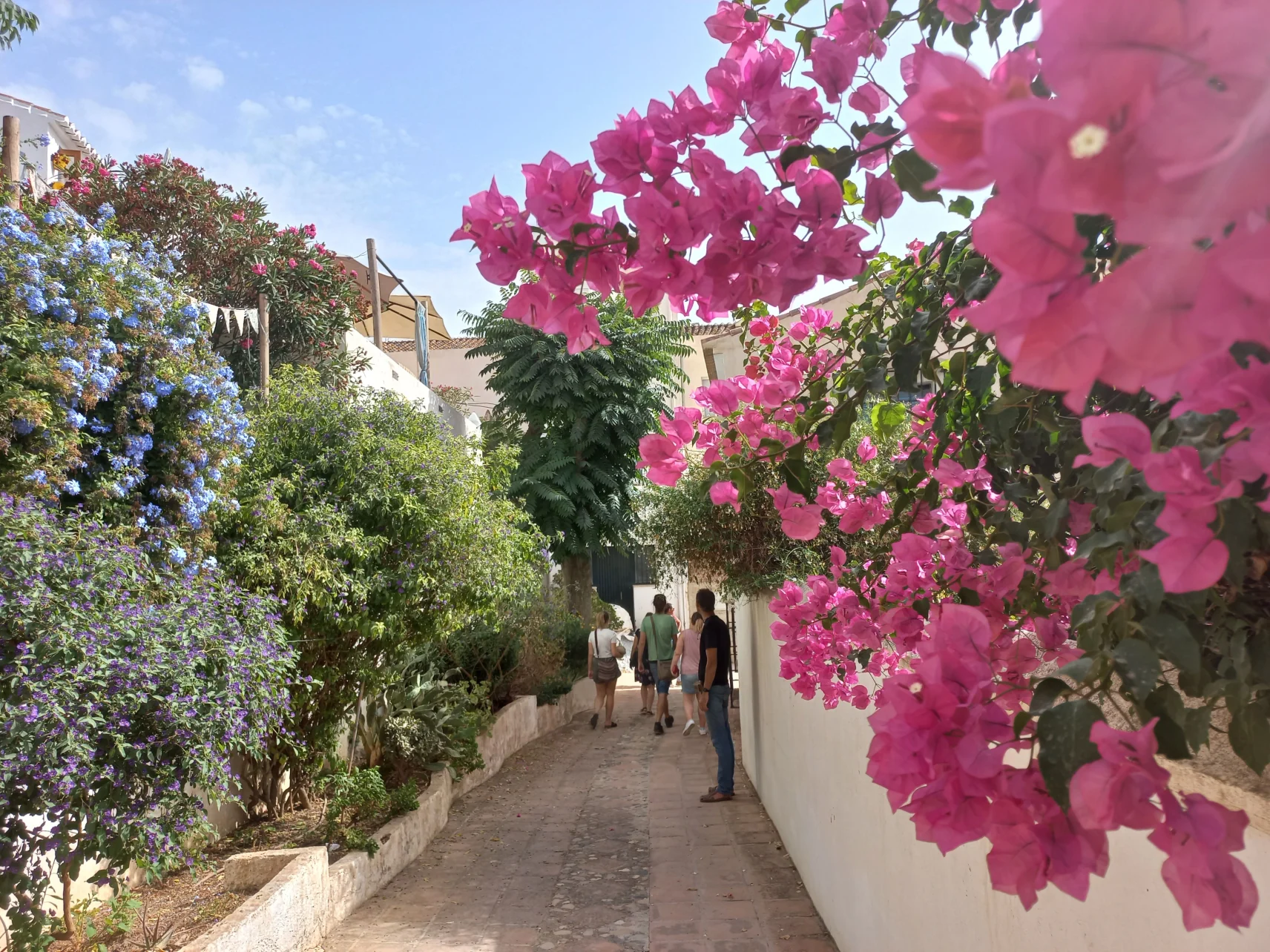 Unexpected sights in Andalusia: Béla Soltész's travel reports