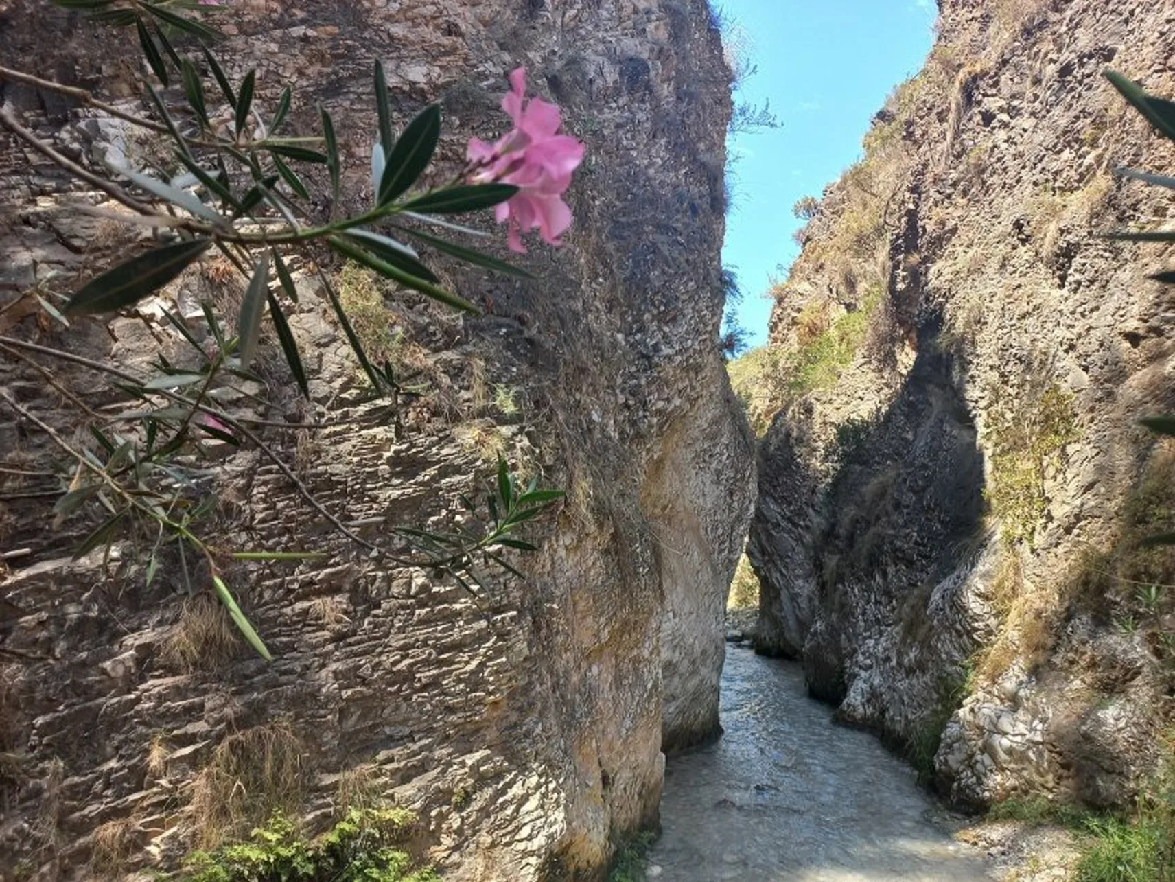 Unexpected sights in Andalusia: Béla Soltész's travel reports