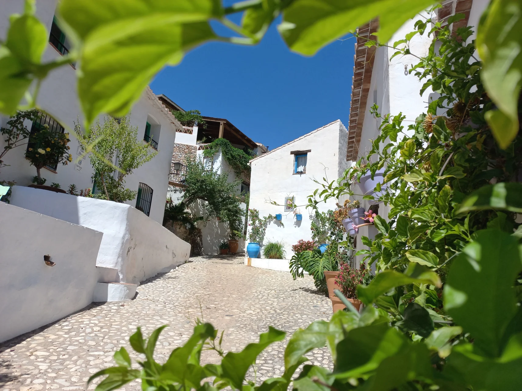 Los arroyos ocultos de la historia: Nerja, Frigiliana y El Acebuchal - Los relatos de viaje de Béla Soltész