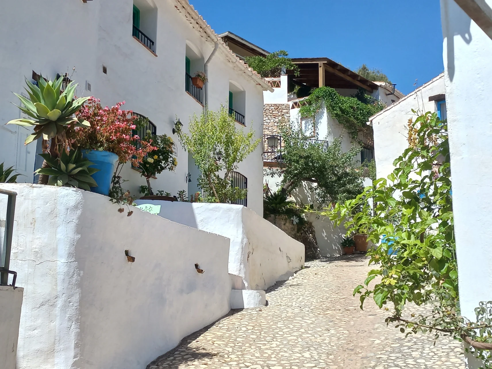 Los arroyos ocultos de la historia: Nerja, Frigiliana y El Acebuchal - Los relatos de viaje de Béla Soltész