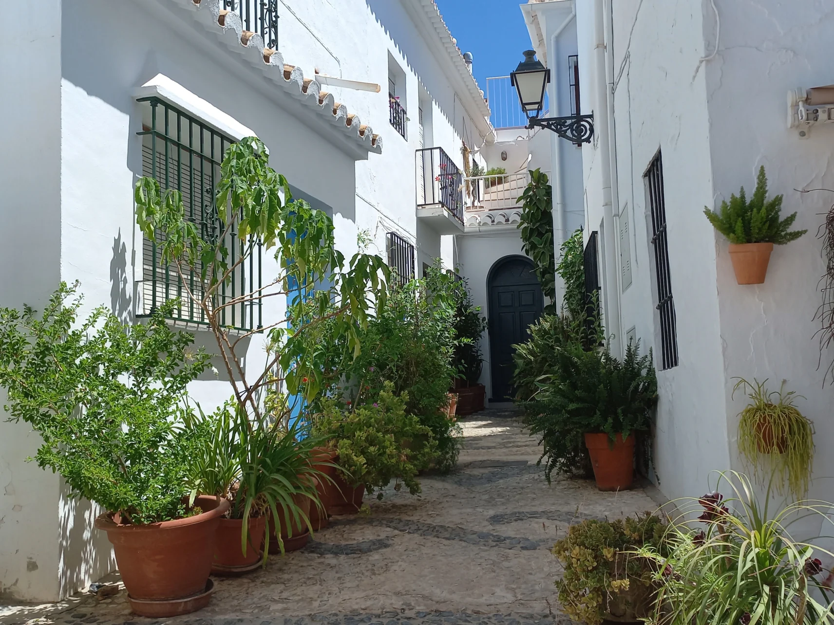 Los arroyos ocultos de la historia: Nerja, Frigiliana y El Acebuchal - Los relatos de viaje de Béla Soltész