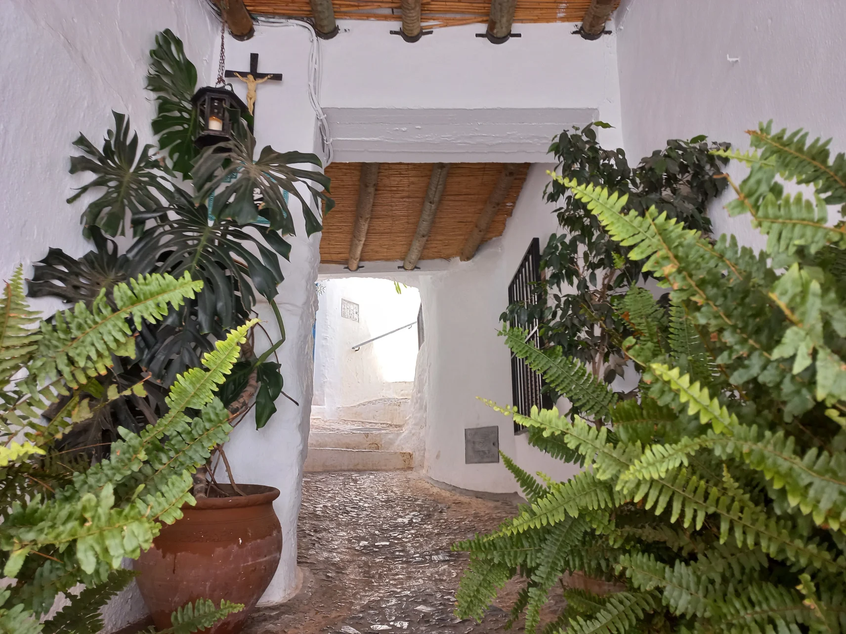 Los arroyos ocultos de la historia: Nerja, Frigiliana y El Acebuchal - Los relatos de viaje de Béla Soltész