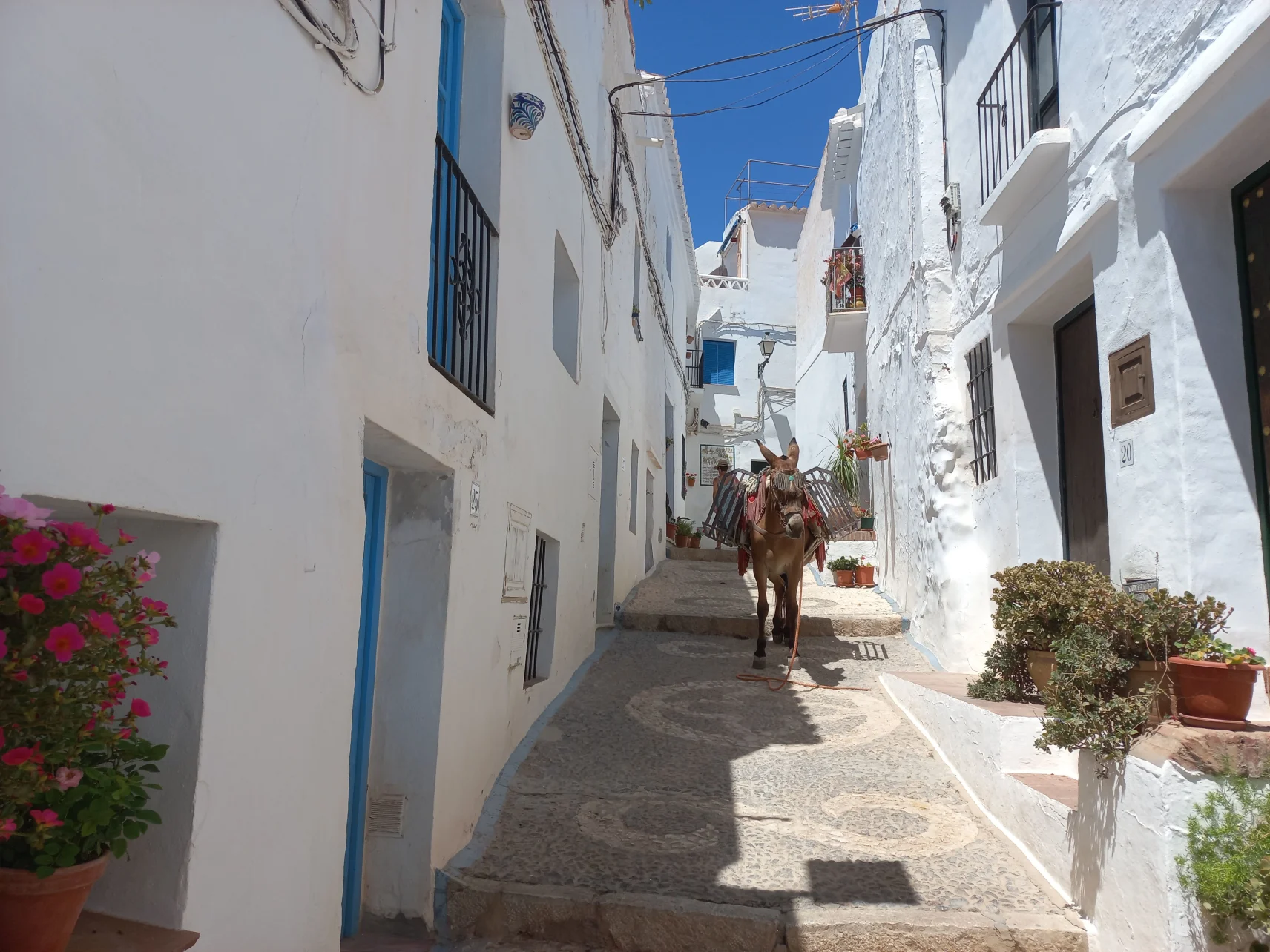 Nerja, Frigiliana y El Acebuchal Tour