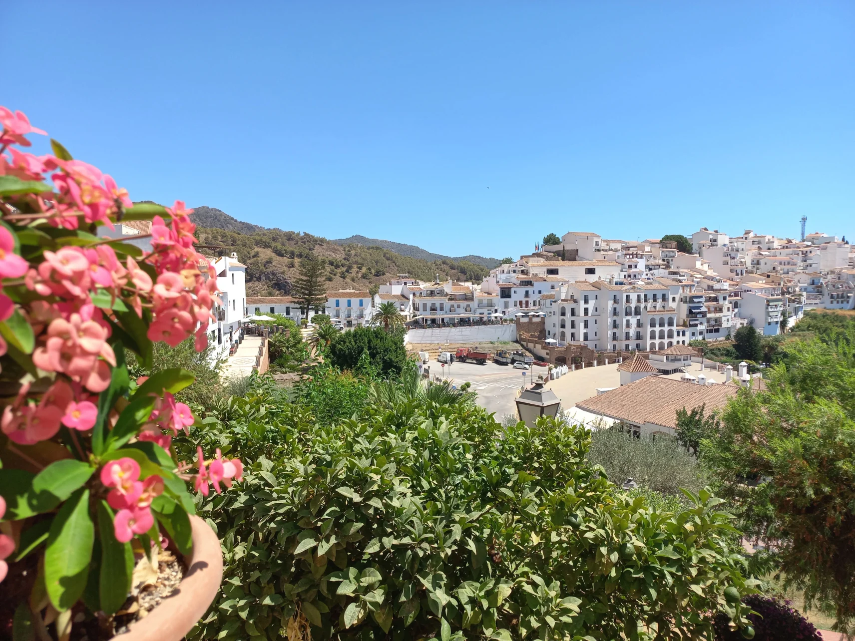 Nerja, Frigiliana y El Acebuchal Tour