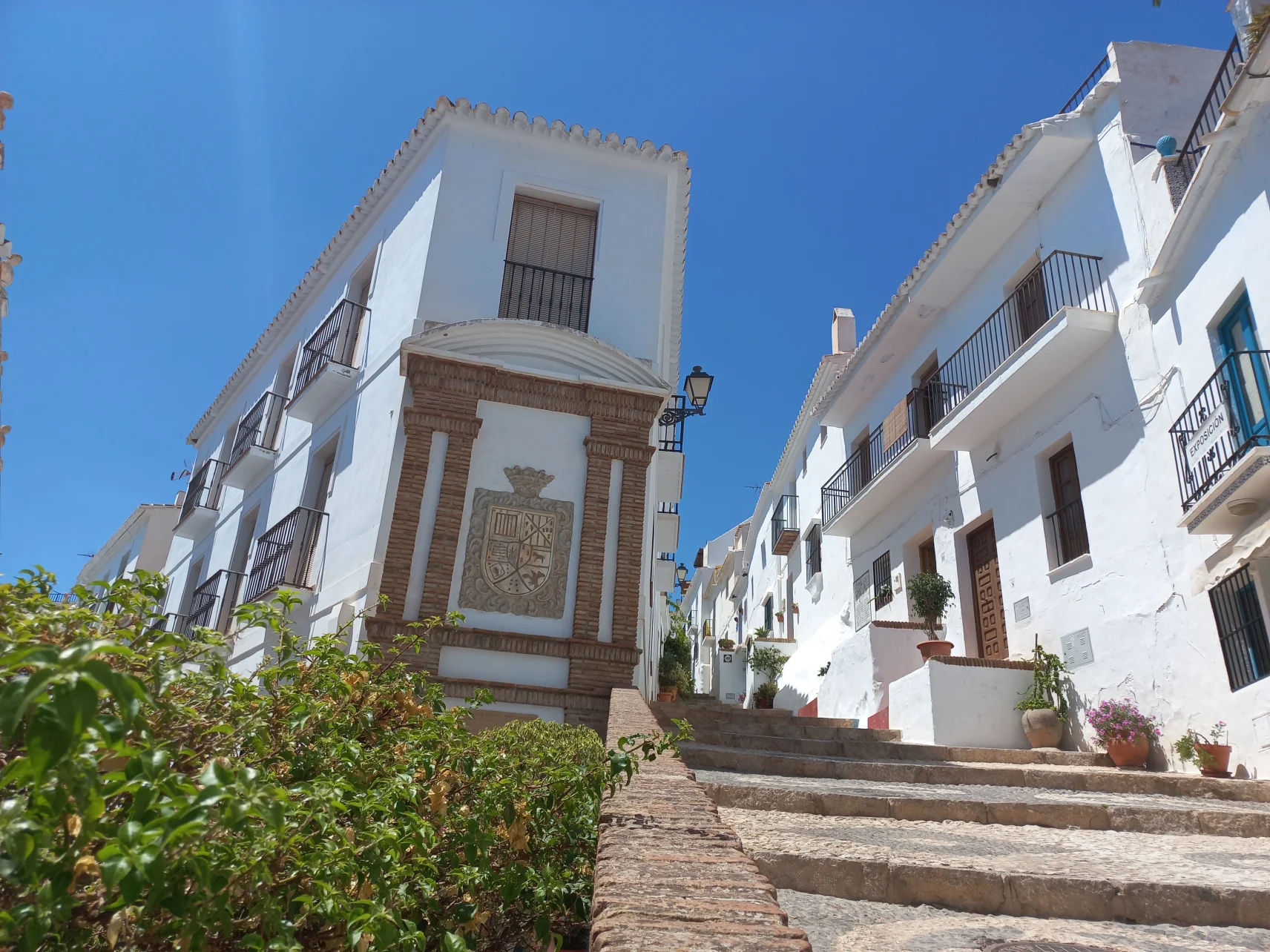 Nerja, Frigiliana y El Acebuchal Tour
