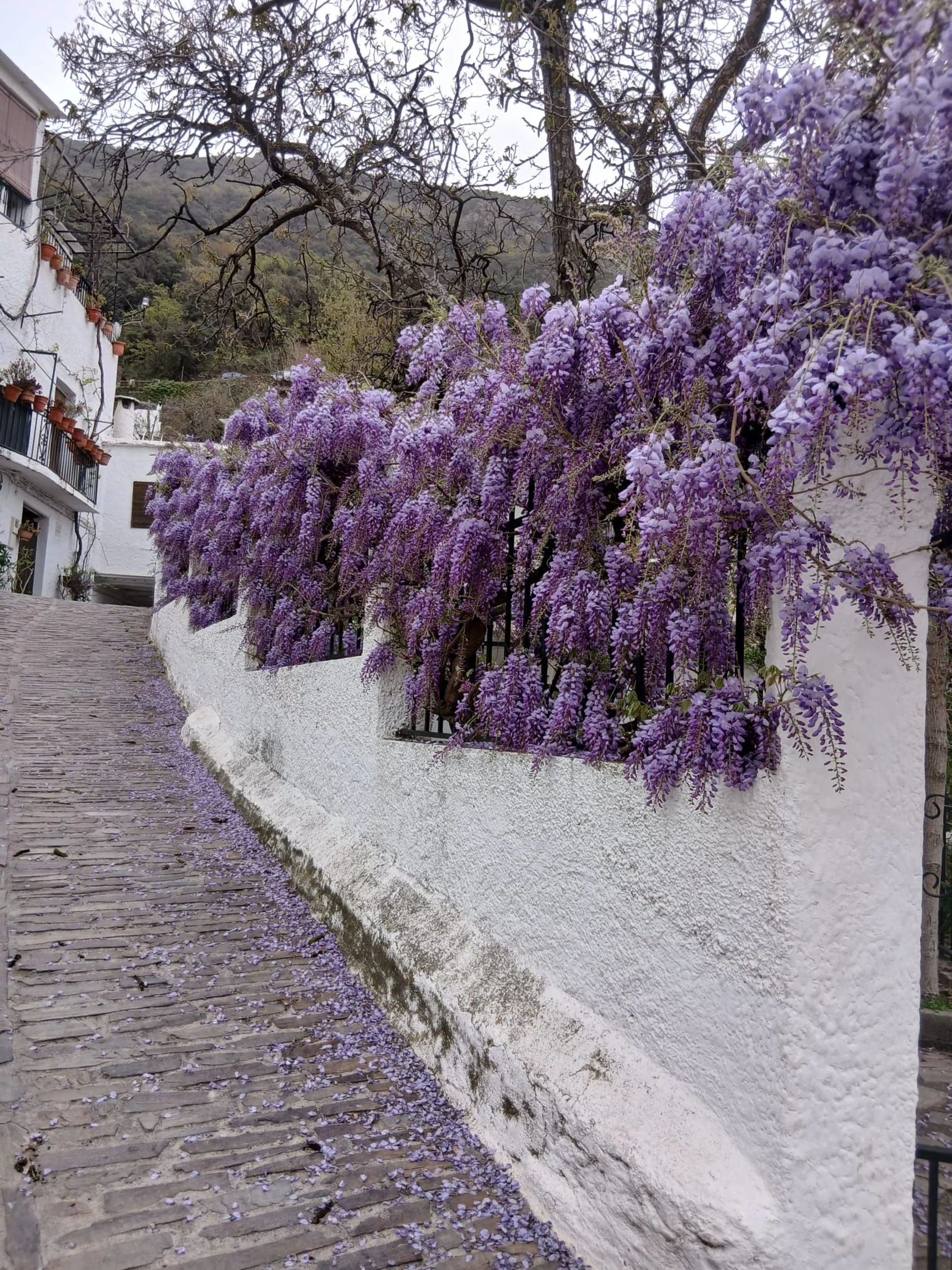 Las Alpujarras from Malaga