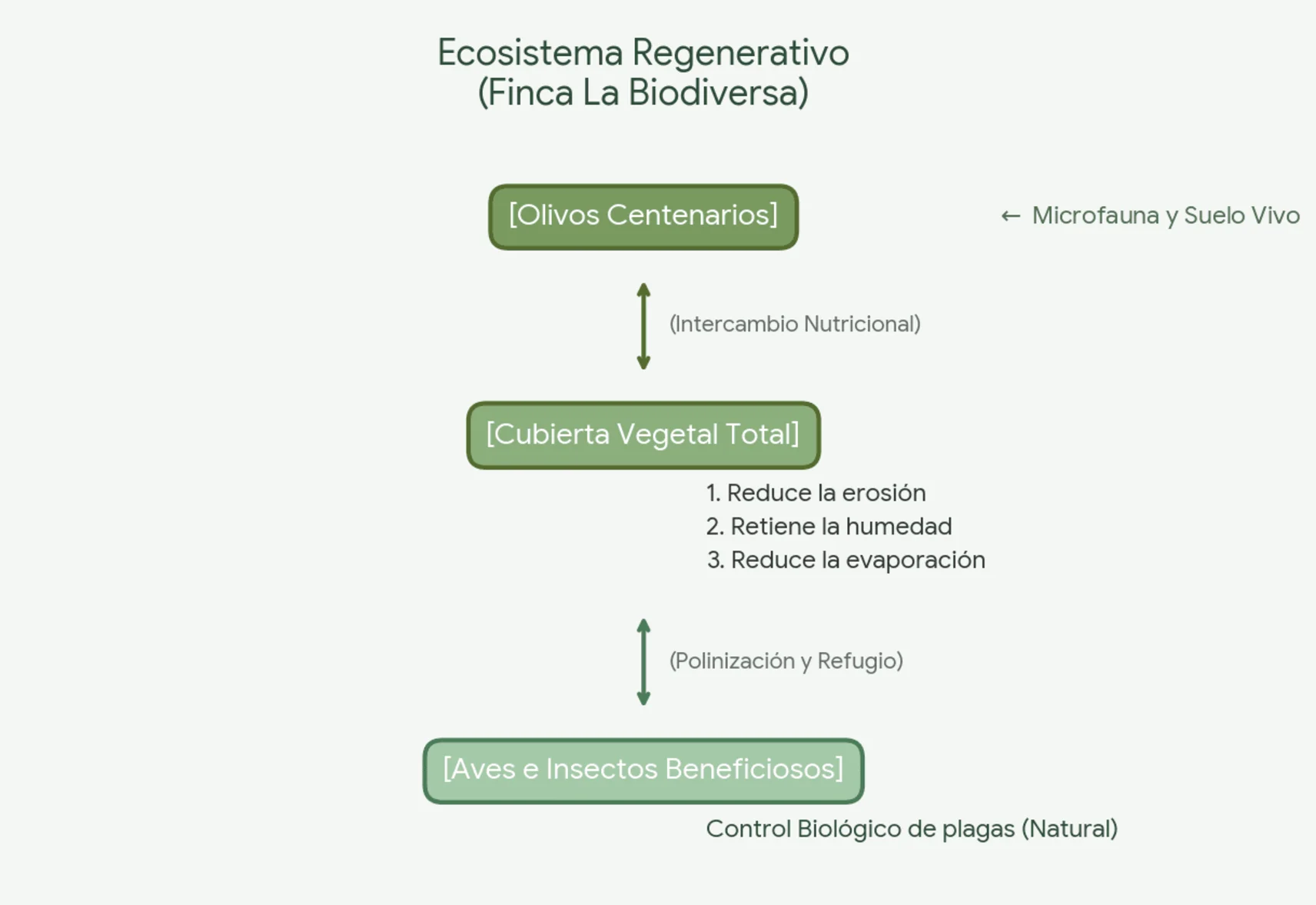 Grafico Agricultura Regenerativa