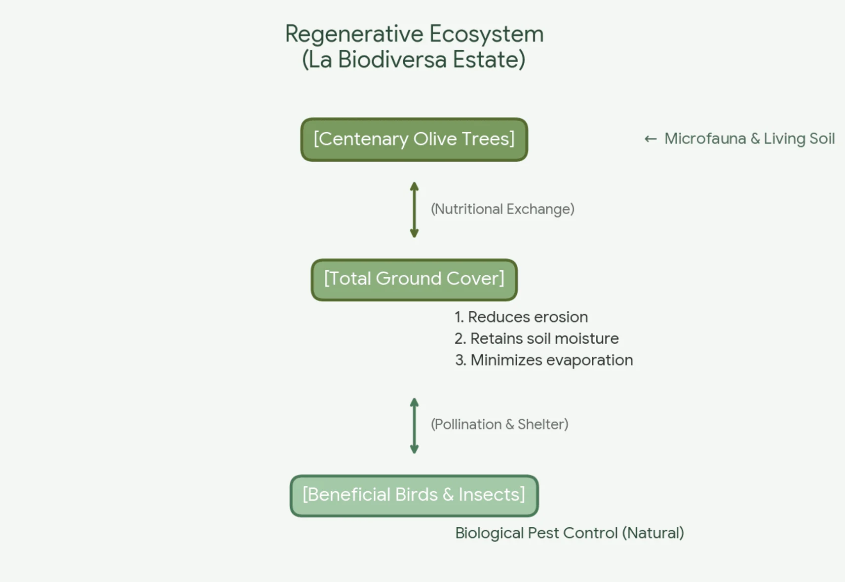 Regenerative Agriculture Chart