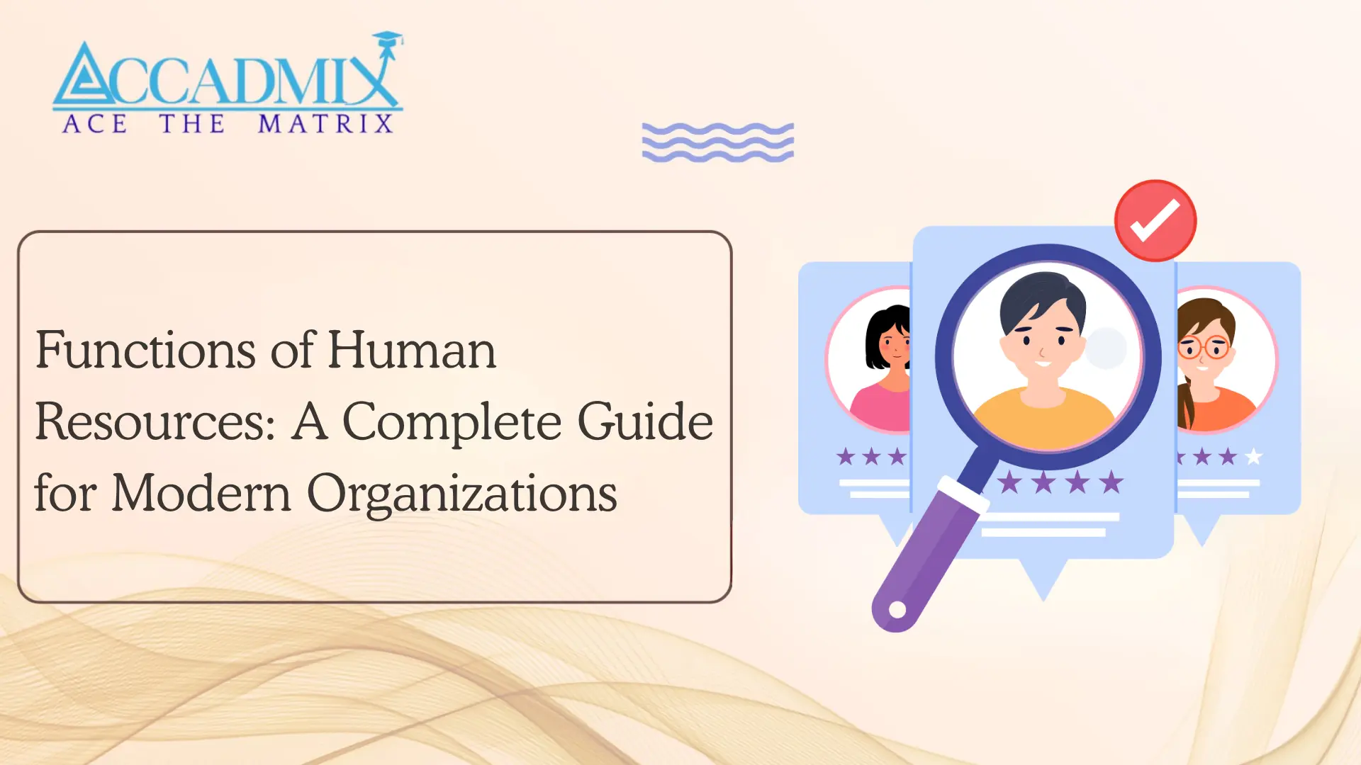 Functions of Human Resources: A Complete Guide for Modern Organizations