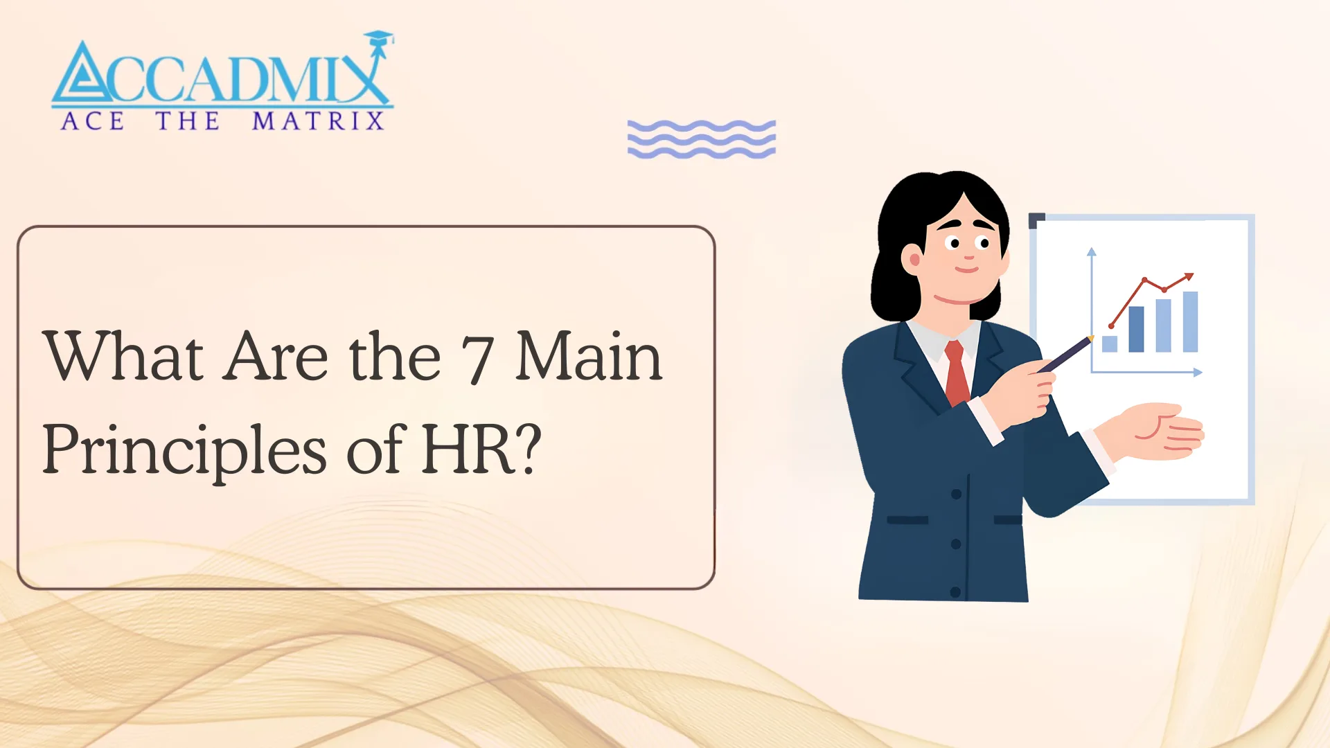 What Are the 7 Main Principles of HR?