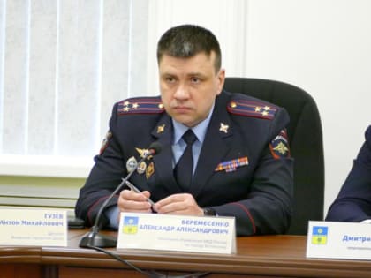 В Волжском начальник полиции отчитался перед депутатами