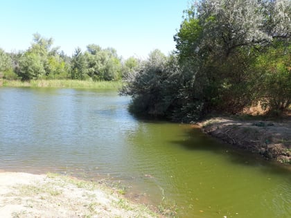 Сохранение Волго-Ахтубинской поймы: началась подкачка воды в Краснослободский тракт