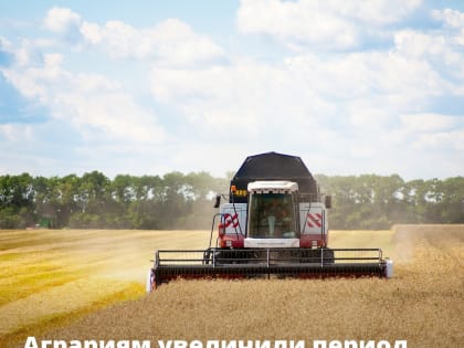 Правительство расширило период выплат для возмещения части расходов на производство и реализацию зерновых культур