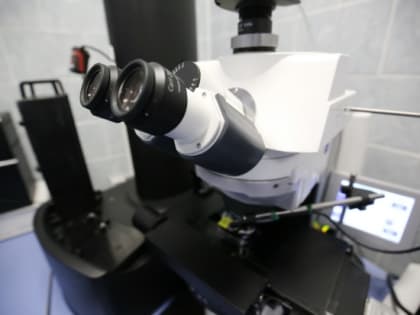 Ученые разработали новый способ борьбы с болезнями Альцгеймера и Паркинсона