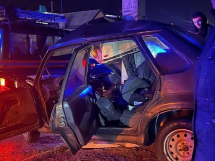 В Камышине легковушку намотало на столб