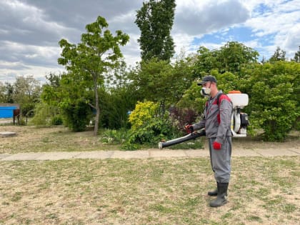 Проведена акарицидная обработка