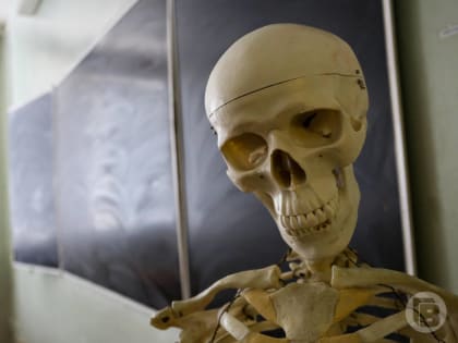 Врач объяснил, чем мужской мозг отличается от женского