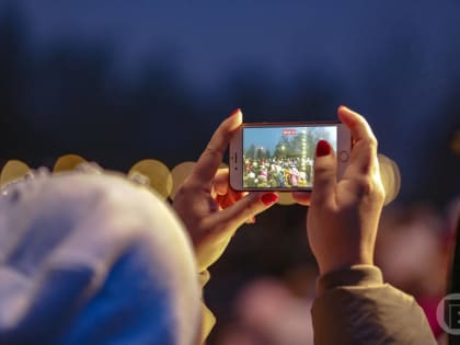 Инвестиции билайн в Волгоградской области превысили 2,4 млрд рублей