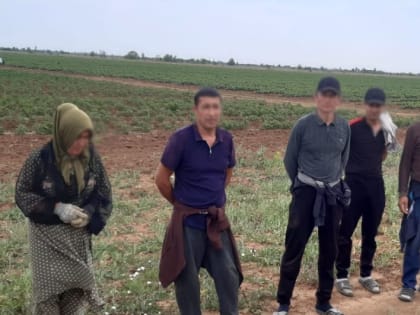 В Волгоградской области выявили и поставили на воинский учет бывших мигрантов