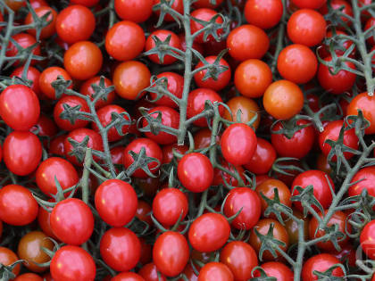 Врач Гандельман сообщил, что томатная паста понижает риск развития рака